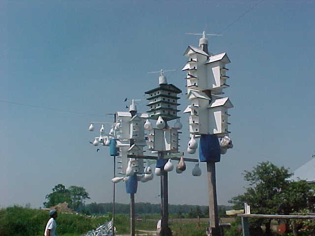 birdhouse.jpg